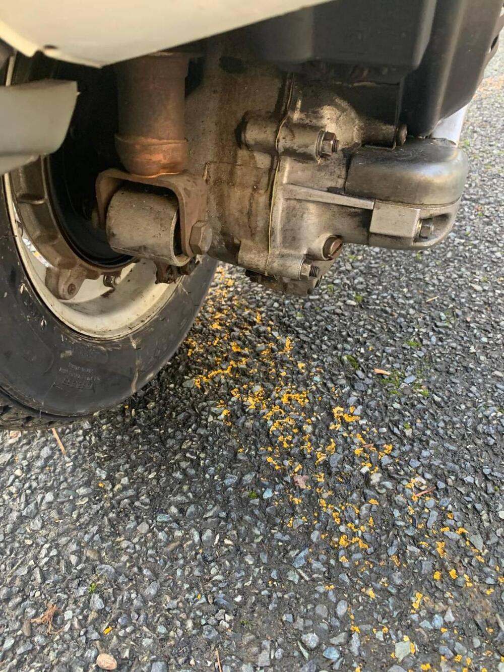 Piaggio Vespa 150 PX (1980 - 00) (12)