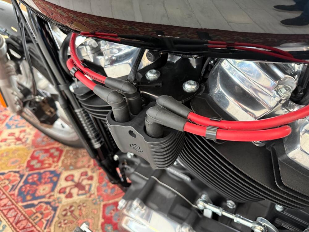 Harley-Davidson Softail Standard (2021 - 25) (16)