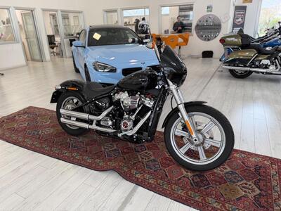 Harley-Davidson Softail Standard (2021 - 25) usata