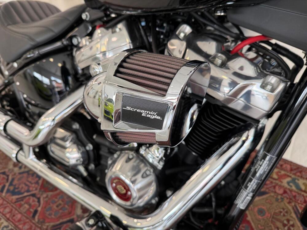 Harley-Davidson Softail Standard (2021 - 25) (15)