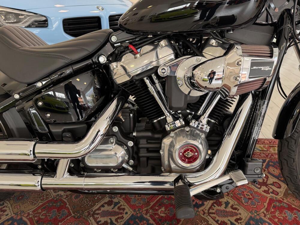 Harley-Davidson Softail Standard (2021 - 25) (6)