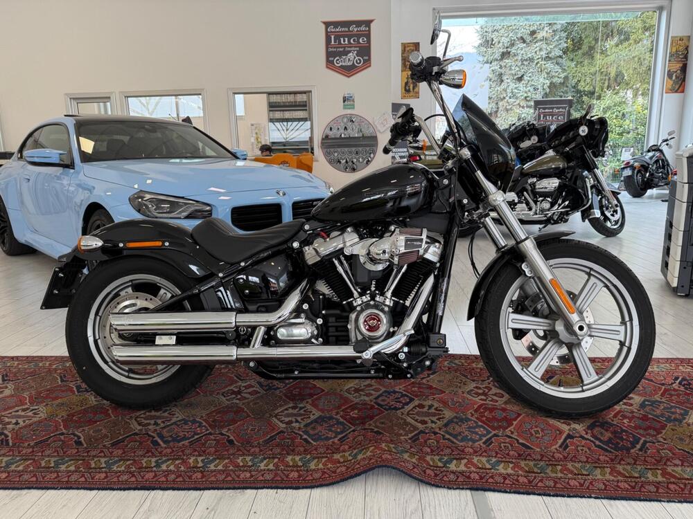 Harley-Davidson Softail Standard (2021 - 25) (2)
