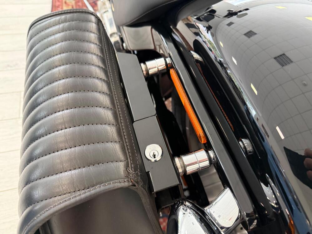 Harley-Davidson Softail Standard (2021 - 25) (14)