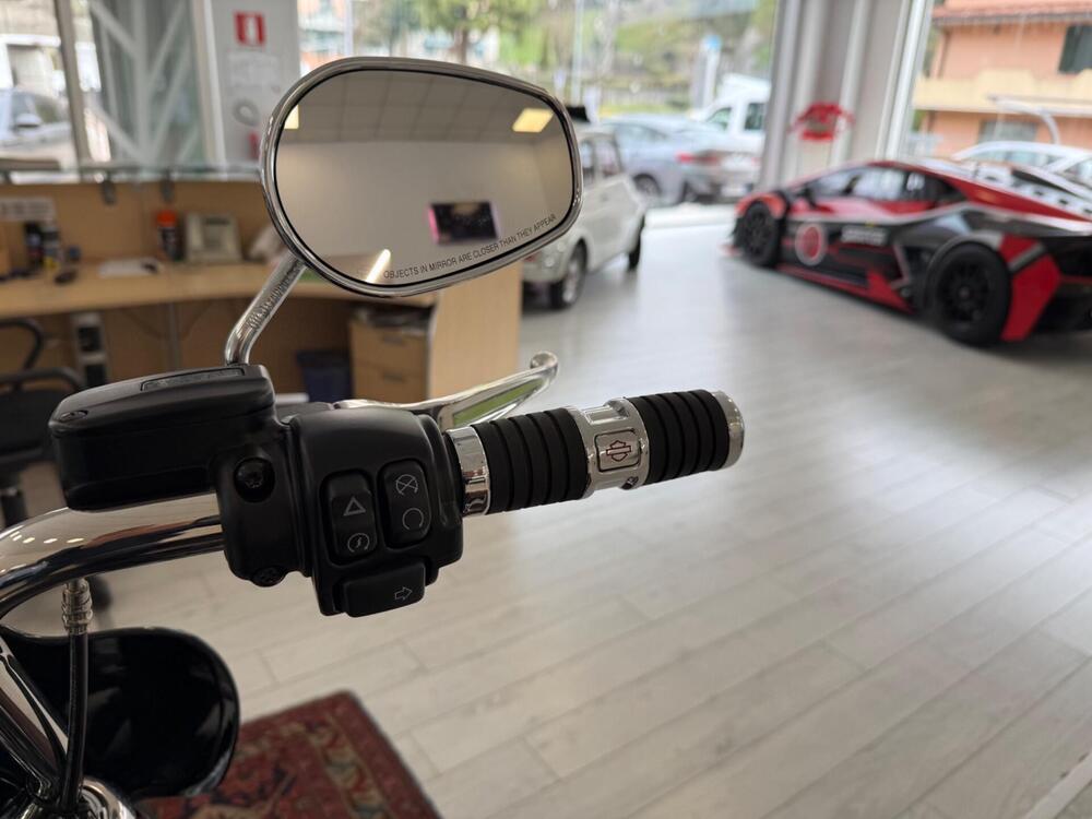 Harley-Davidson Softail Standard (2021 - 25) (12)