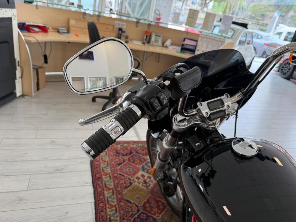 Harley-Davidson Softail Standard (2021 - 25) (11)