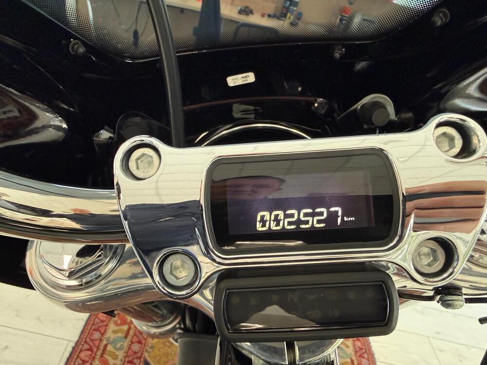 Harley-Davidson Softail Standard (2021 - 25) (9)