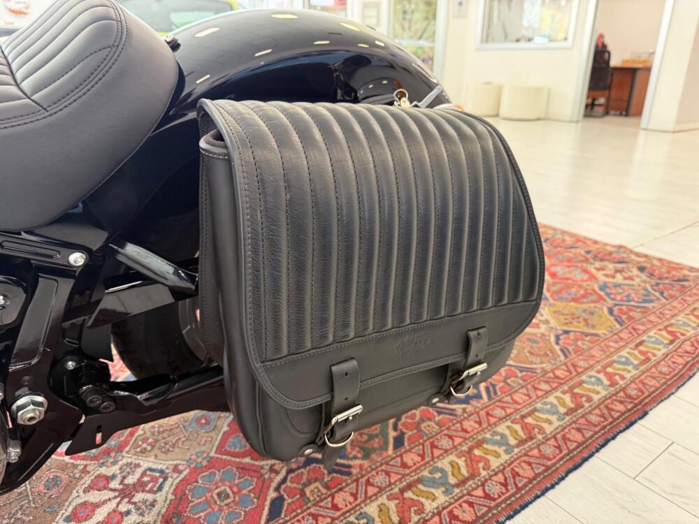 Harley-Davidson Softail Standard (2021 - 25) (13)