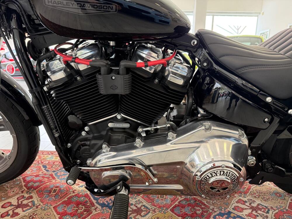 Harley-Davidson Softail Standard (2021 - 25) (7)