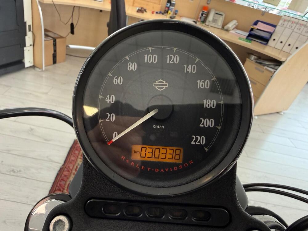 Harley-Davidson 883 Iron (2017 - 20) - XL 883N (9)