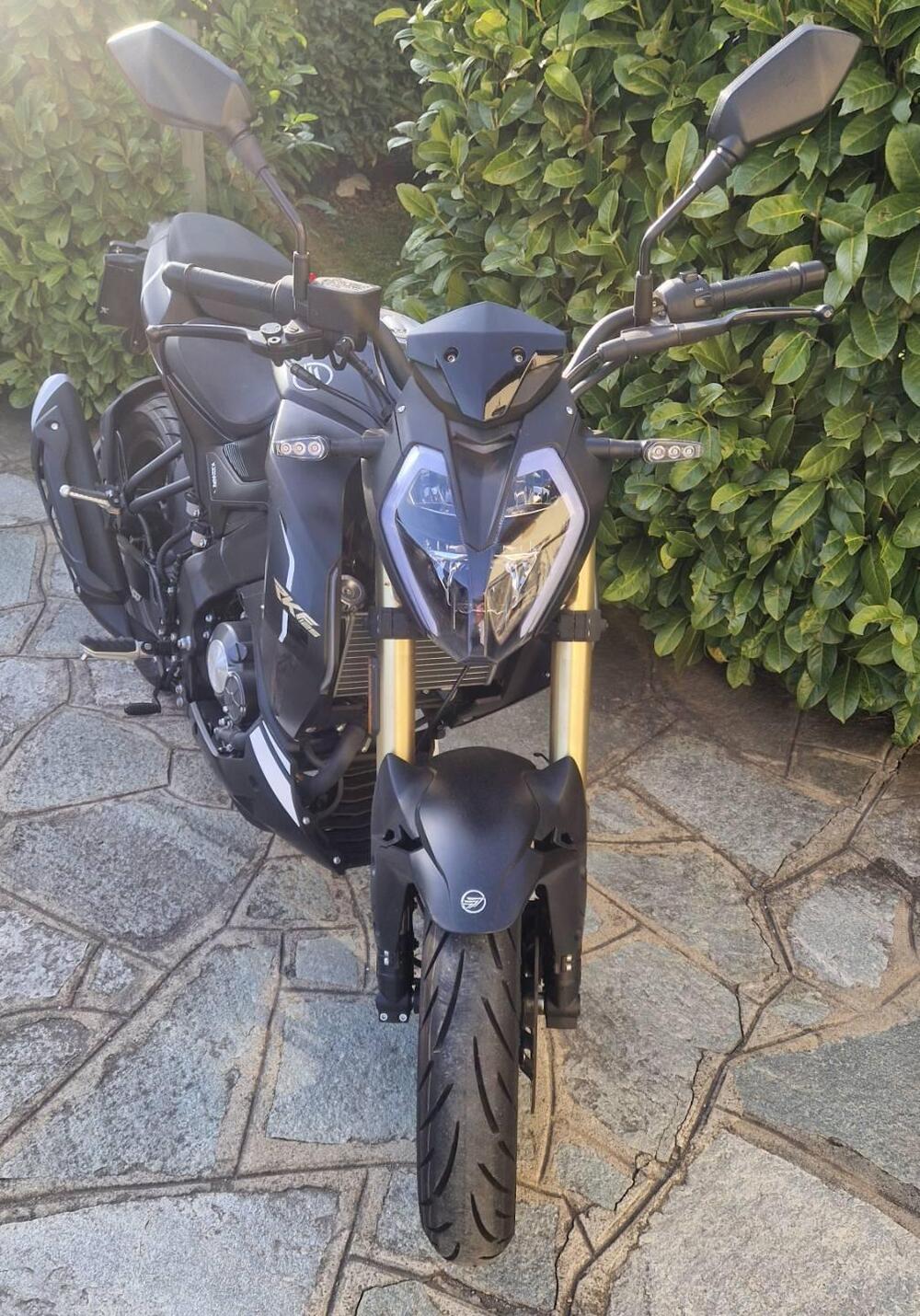 Keeway Motor RKF 125 (2021 - 24) (4)