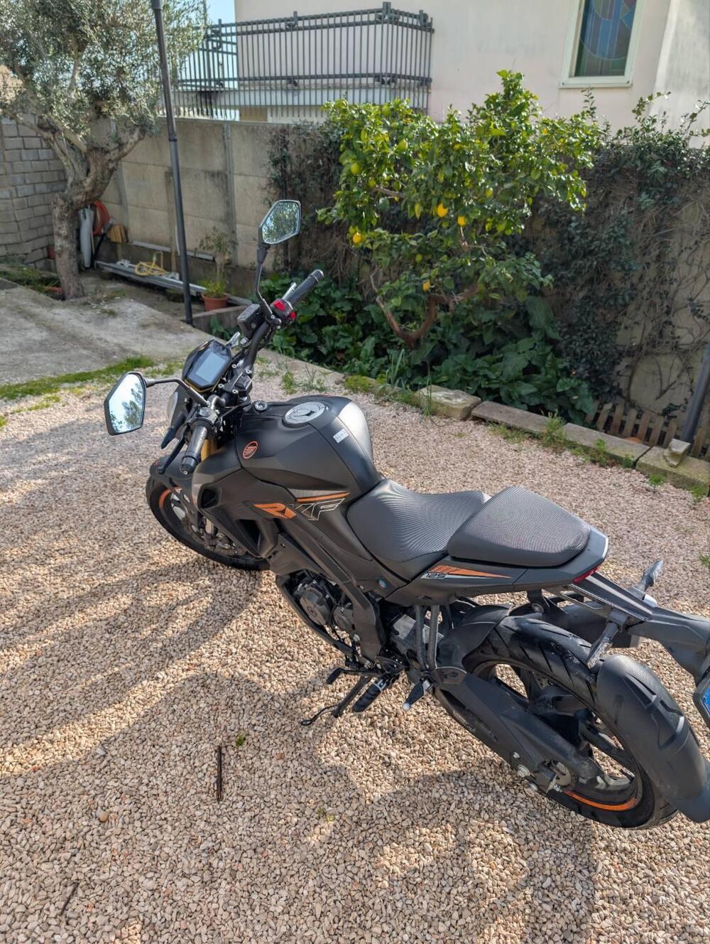 Keeway Motor RKF 125 (2025 - 26) (2)