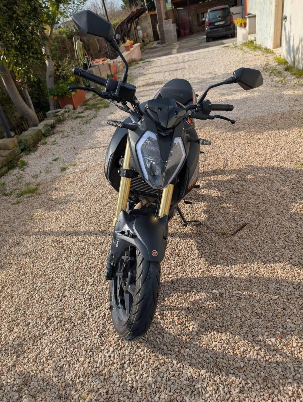 Keeway Motor RKF 125 (2025 - 26) (5)