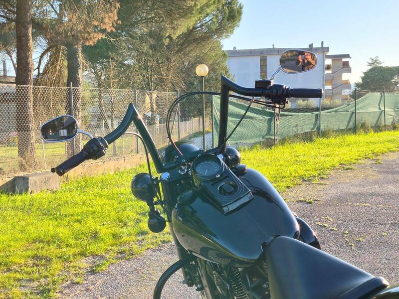 Harley-Davidson 1450 Heritage Classic (1999 - 02) - FLSTC (6)