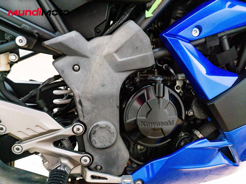 Kawasaki Ninja 300 ABS (2012 - 16) (20)