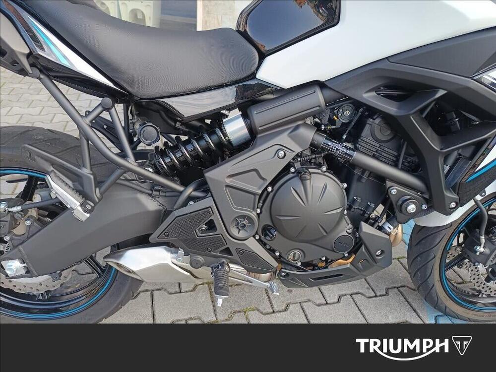 Kawasaki Versys 650 (2021 - 24) (7)