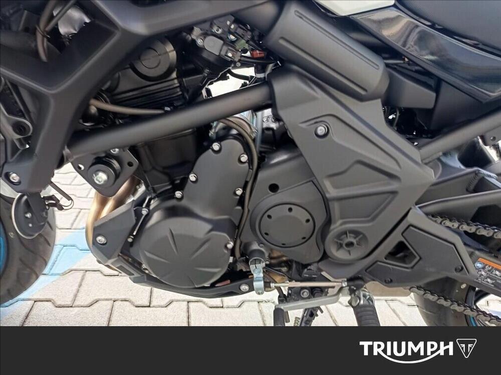 Kawasaki Versys 650 (2021 - 24) (6)