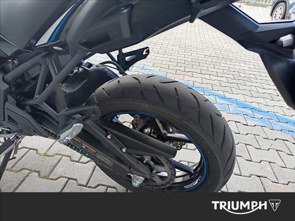 Kawasaki Versys 650 (2021 - 24) (8)