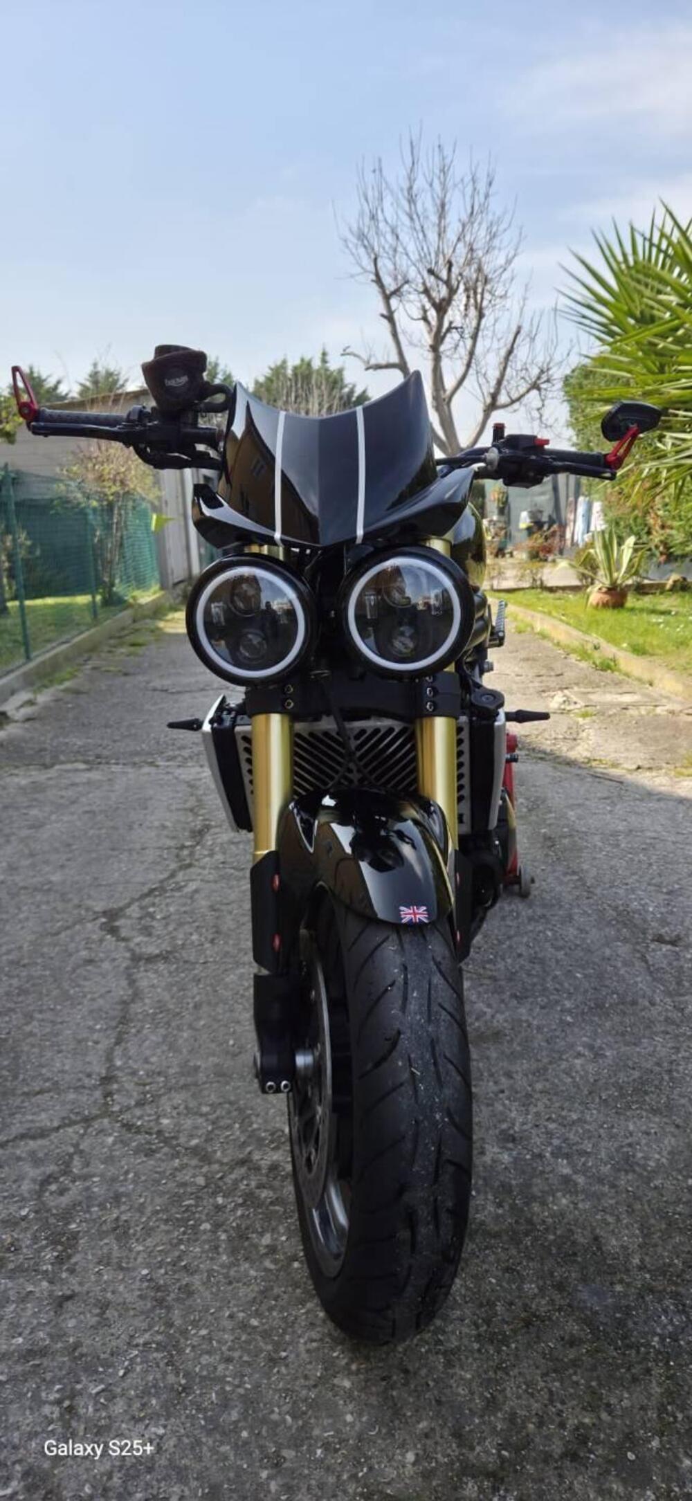 Triumph Speed Triple 1050 (2005 - 11) (6)