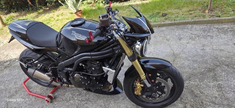 Triumph Speed Triple 1050 (2005 - 11) (2)