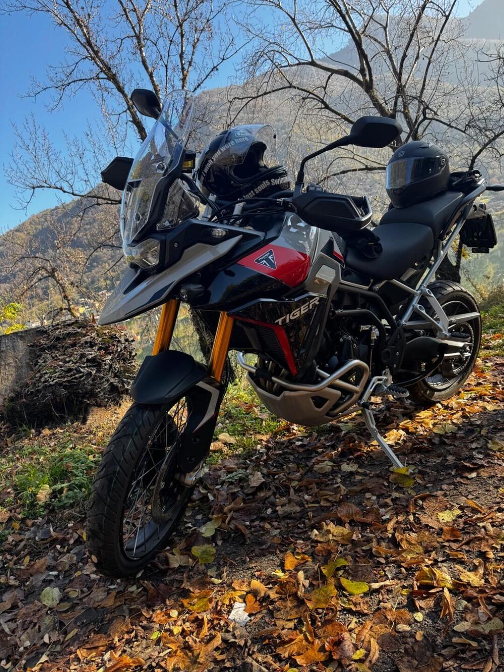 Triumph Tiger 900 Rally Pro (2024 - 26) (2)
