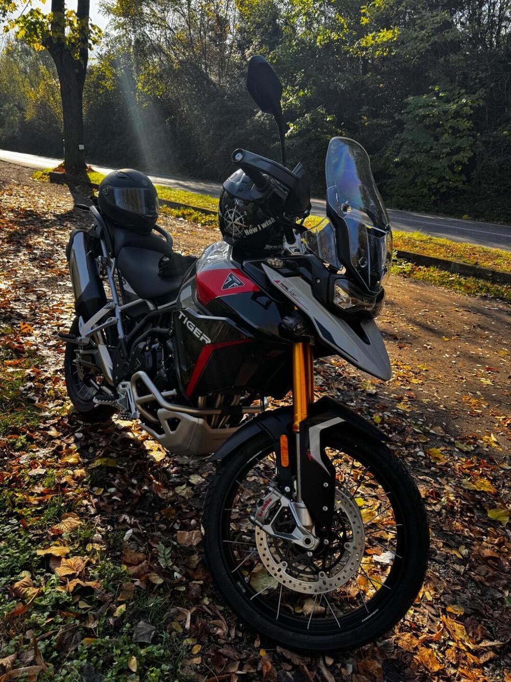 Triumph Tiger 900 Rally Pro (2024 - 26) (3)