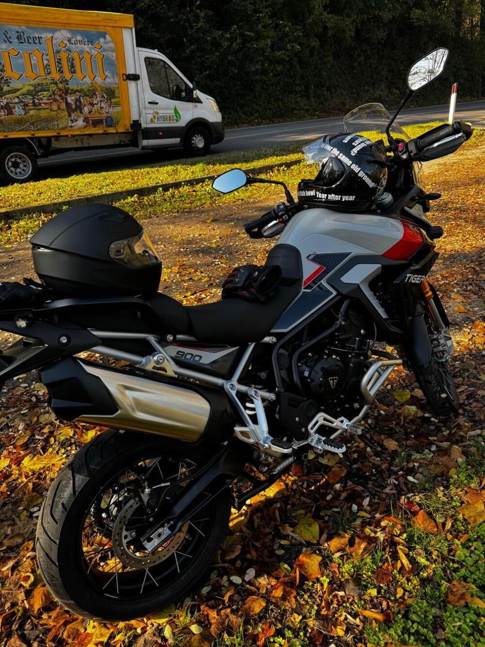Triumph Tiger 900 Rally Pro (2024 - 26) (4)