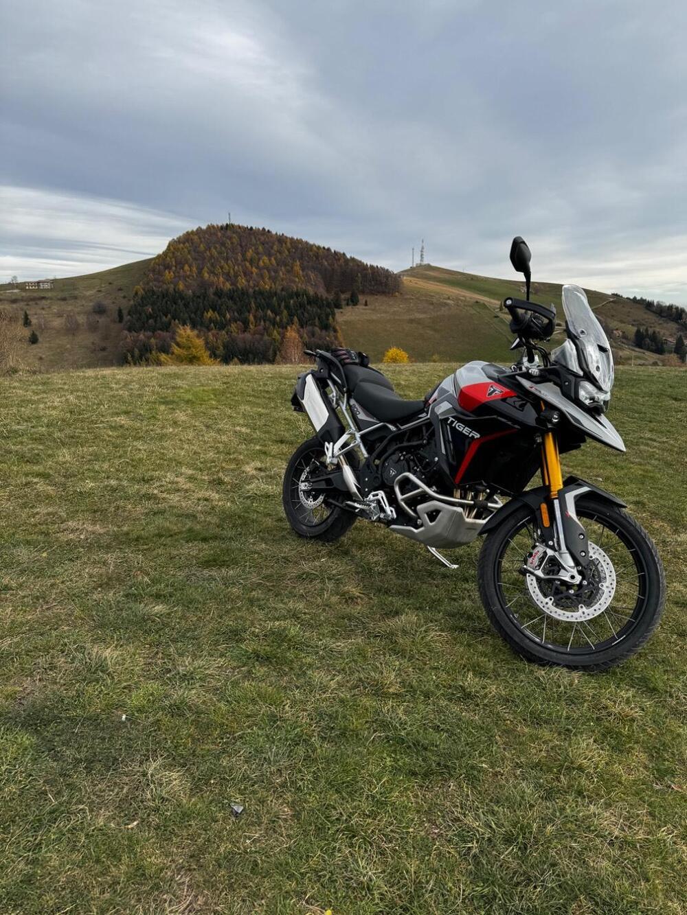 Triumph Tiger 900 Rally Pro (2024 - 26) (7)