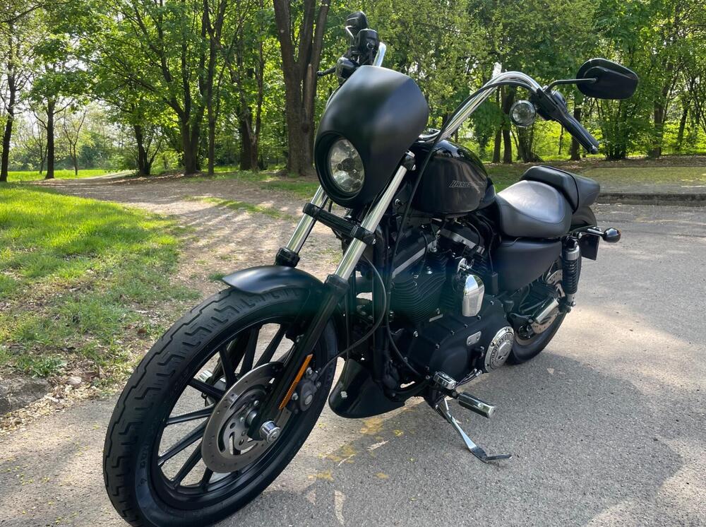 Harley-Davidson 883 Iron (2009 - 11) - XL 883N (2)