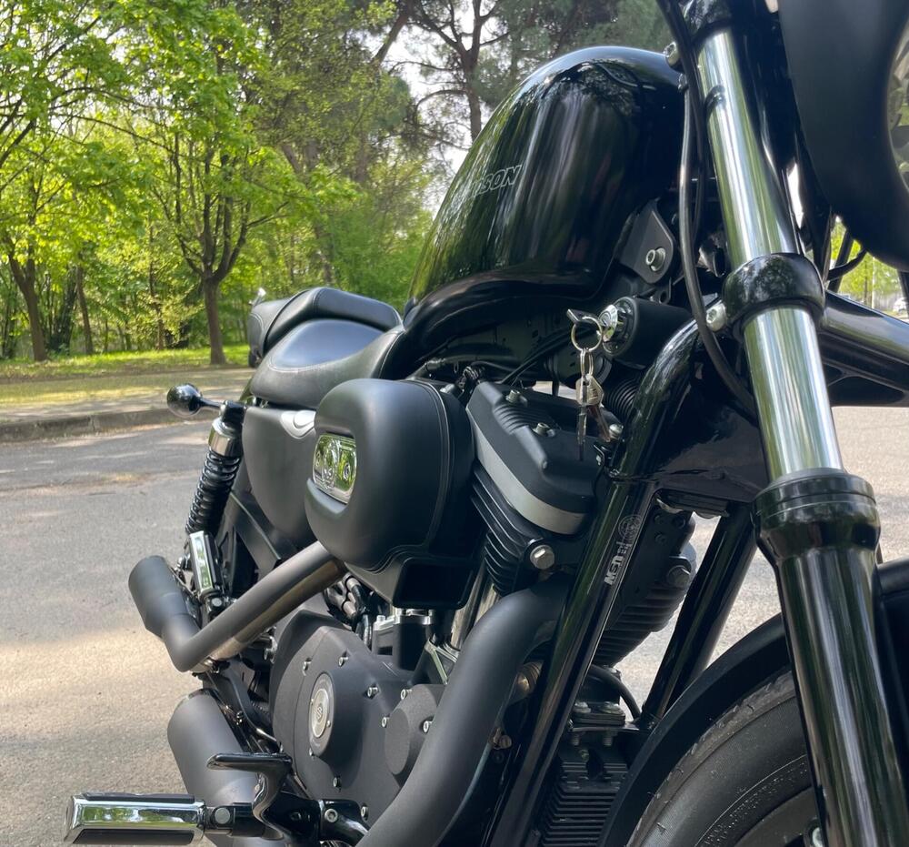 Harley-Davidson 883 Iron (2009 - 11) - XL 883N (3)