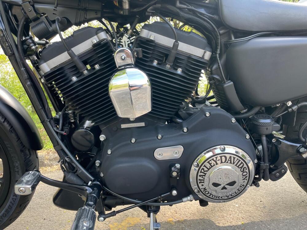 Harley-Davidson 883 Iron (2009 - 11) - XL 883N (7)