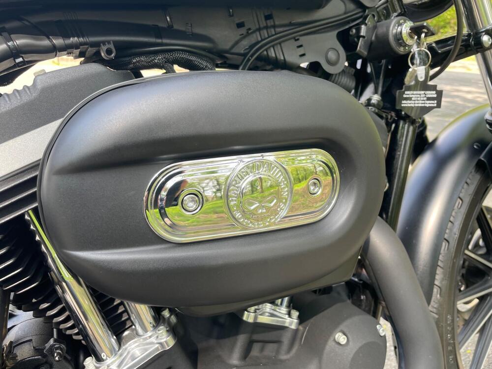 Harley-Davidson 883 Iron (2009 - 11) - XL 883N (11)