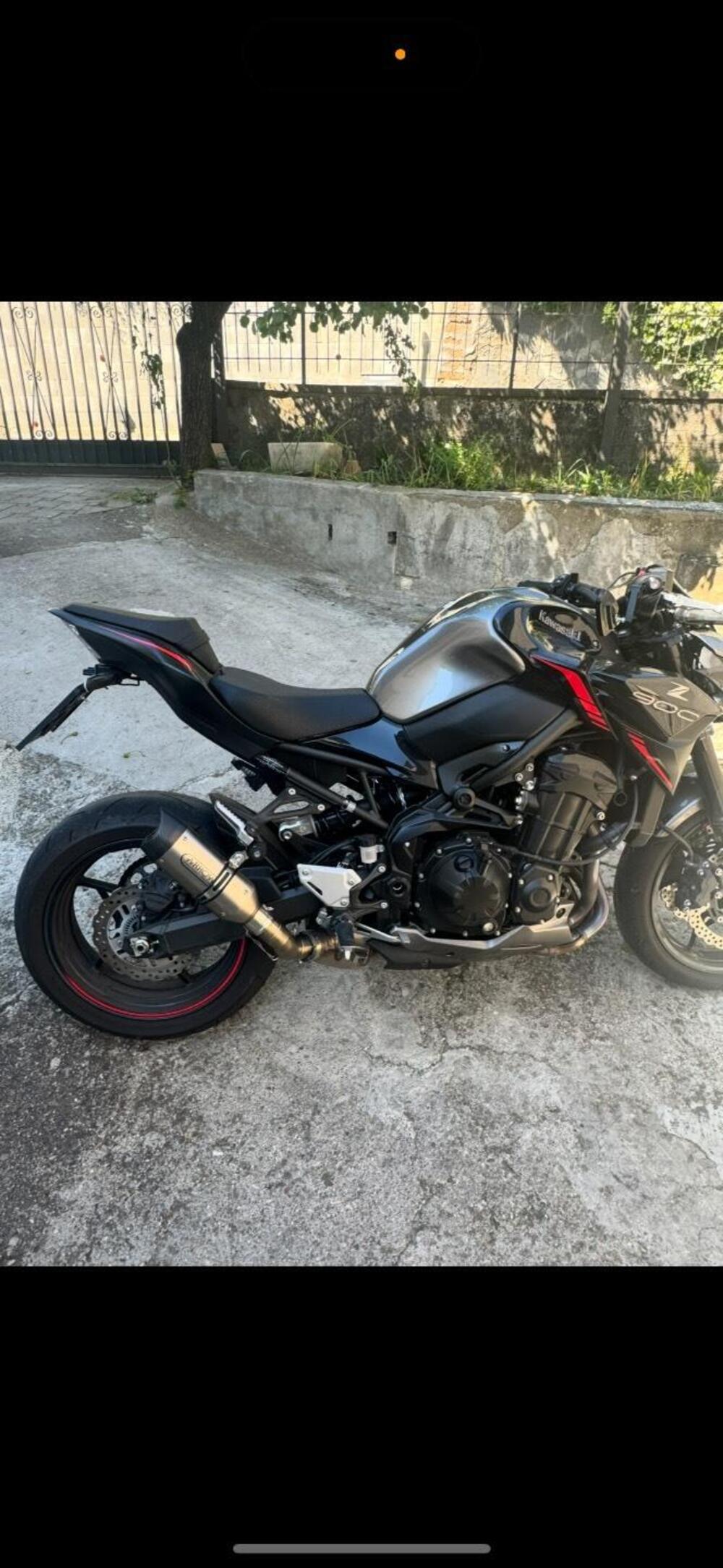 Kawasaki Z 900 (2021 - 24)