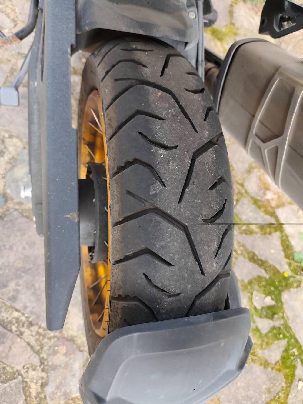 QJ Motor SRT 800 X (2023 - 24) (8)