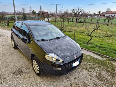 Fiat Punto 1.4 8V 3 porte Natural Power Street del 2015 usata a Albignasego