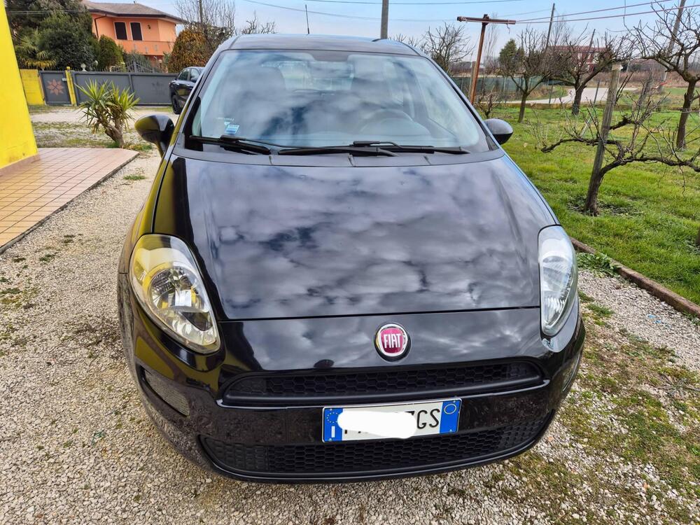 Fiat Punto usata a Padova (2)