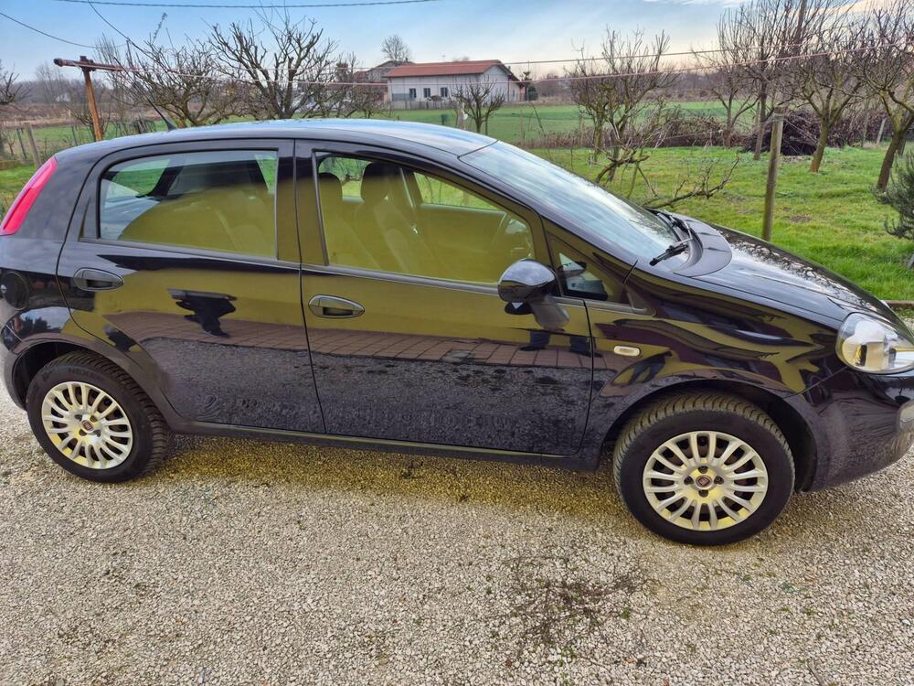 Fiat Punto usata a Padova (3)