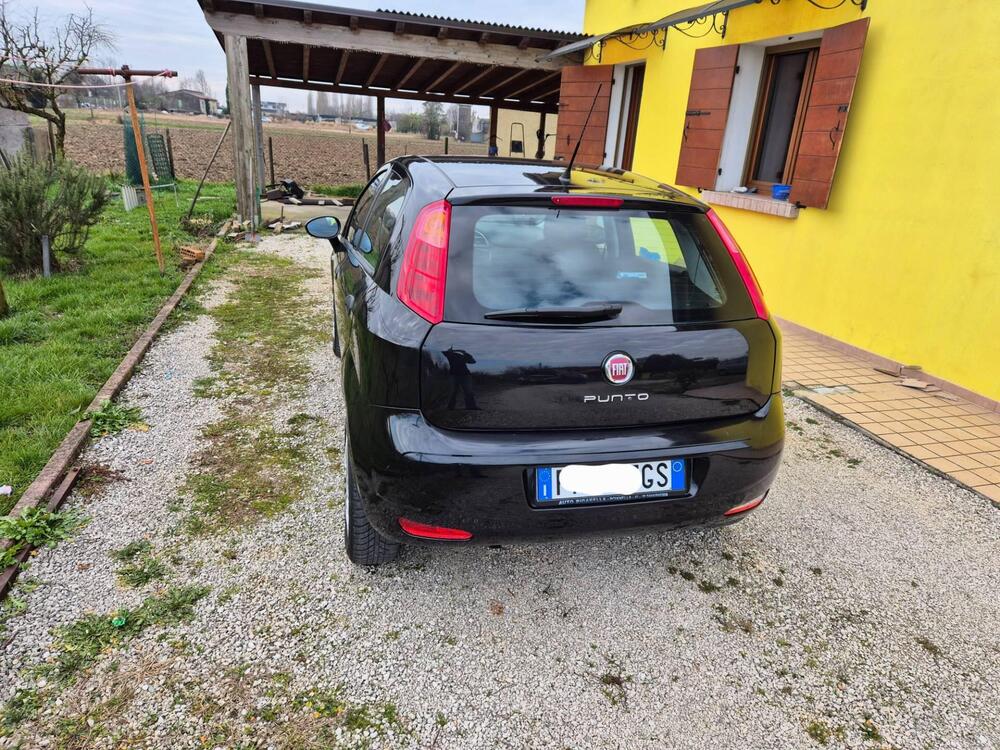 Fiat Punto usata a Padova (4)