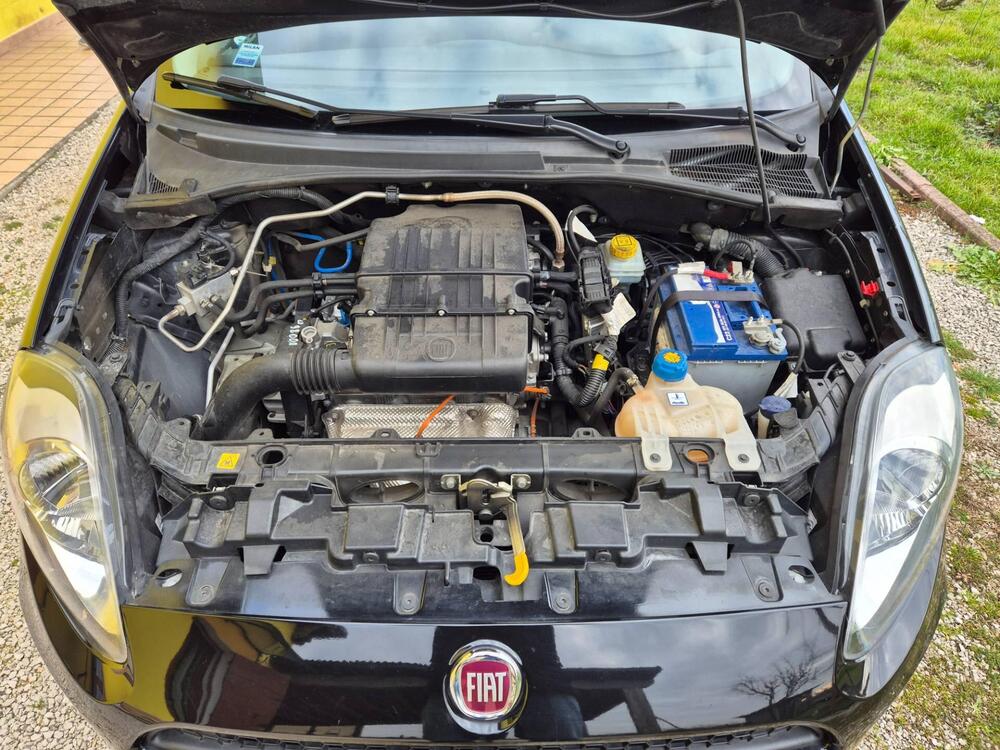 Fiat Punto usata a Padova (8)