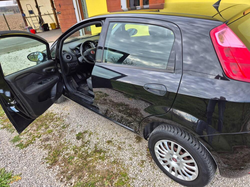 Fiat Punto usata a Padova (15)