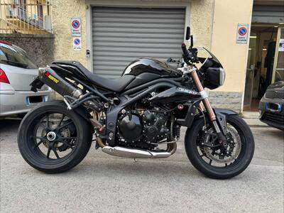 Triumph Speed Triple 1050 (2005 - 11) usata