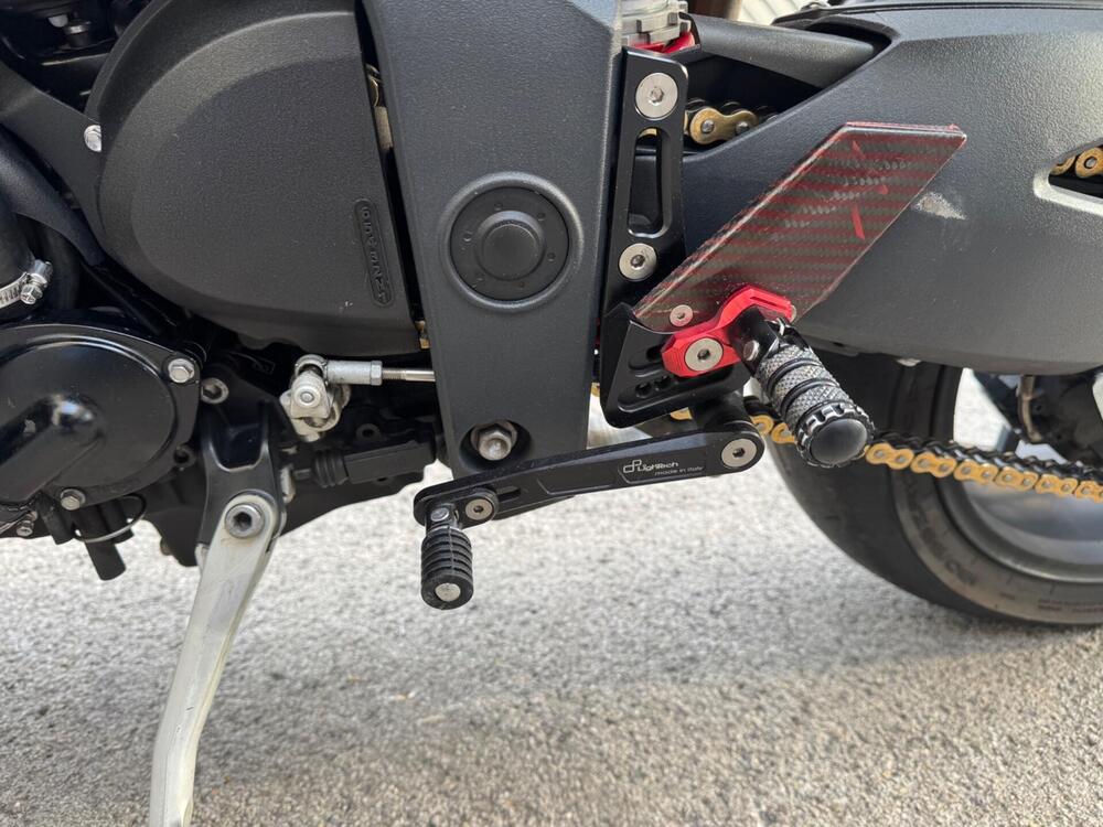 Triumph Speed Triple 1050 (2005 - 11) (6)