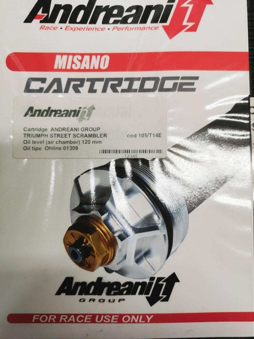 Triumph Street Scrambler 900 (2017 - 18) (6)