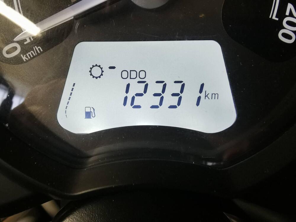 Triumph Street Scrambler 900 (2017 - 18) (9)