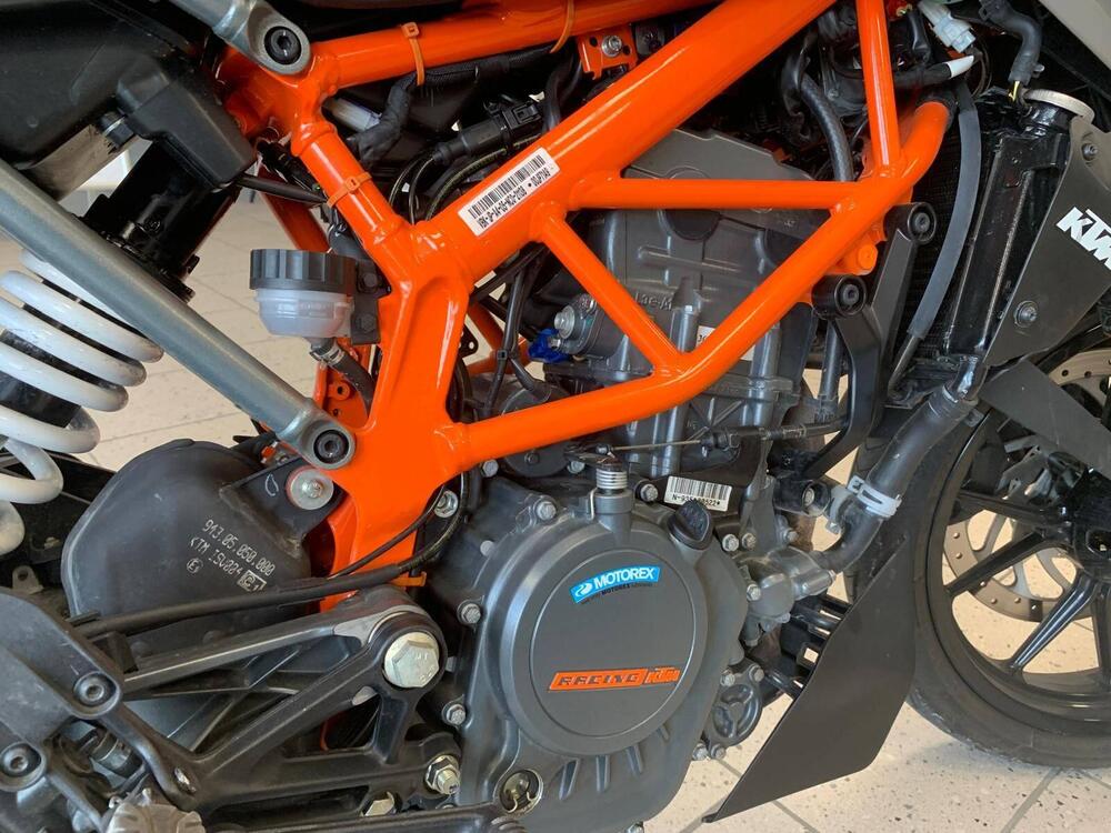 KTM 125 Duke (2024 - 25) (11)