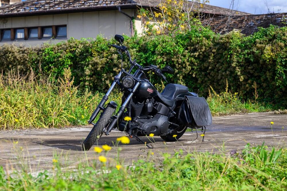 Harley-Davidson Softail Night train (5)