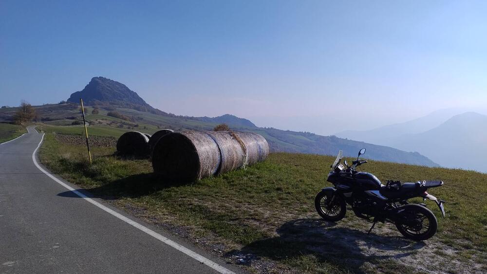 Voge Valico 300DS (2020) (12)