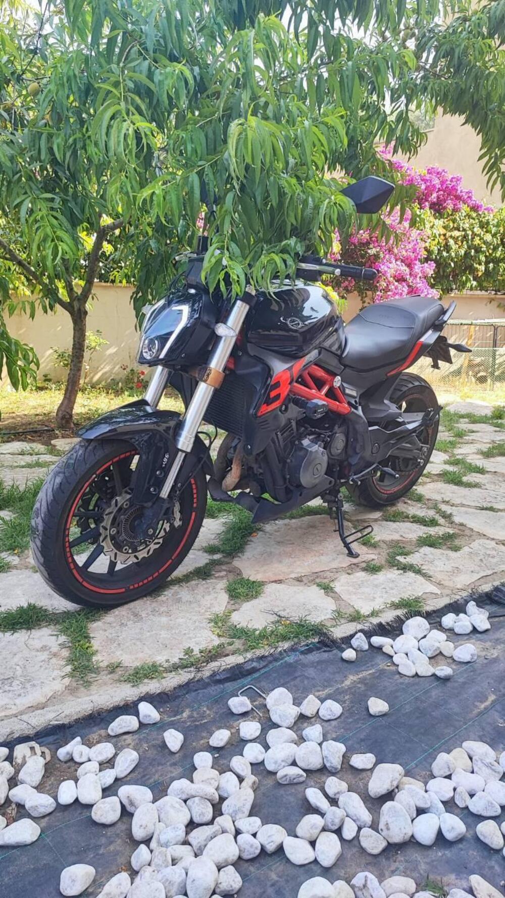 Benelli BN 302 S (2019 - 20)