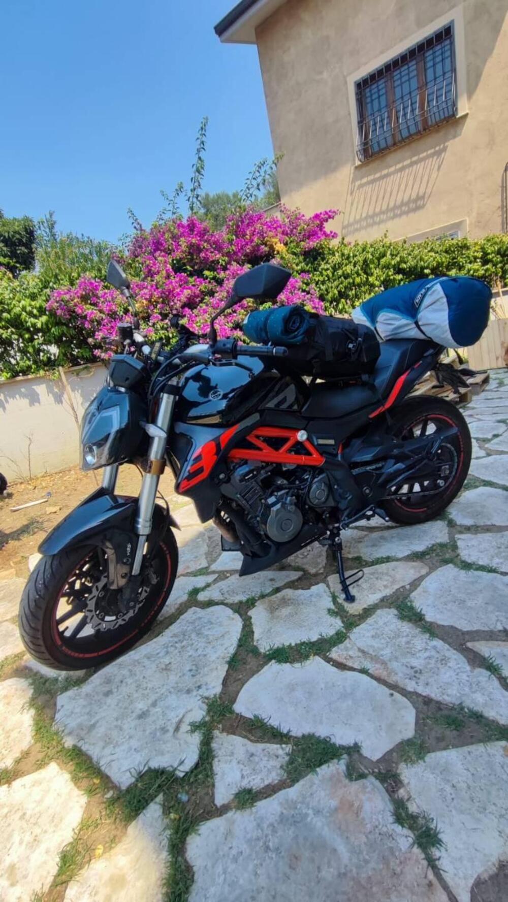Benelli BN 302 S (2019 - 20) (3)