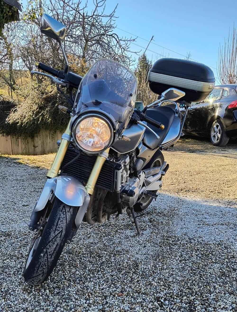 Honda Hornet 600 (2005 - 06)