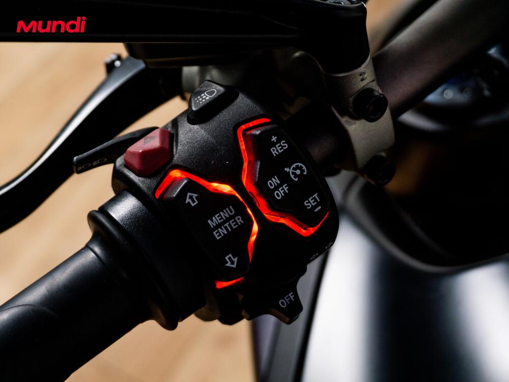 Ducati Diavel 1260 S (2019 - 20) (18)